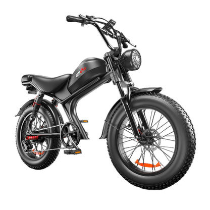Emoko C93 750W 20x4.0" Fat Tire Electric Bike for Adults, 48V 20Ah Ebike 19.8 mph, 43 Miles UL2849