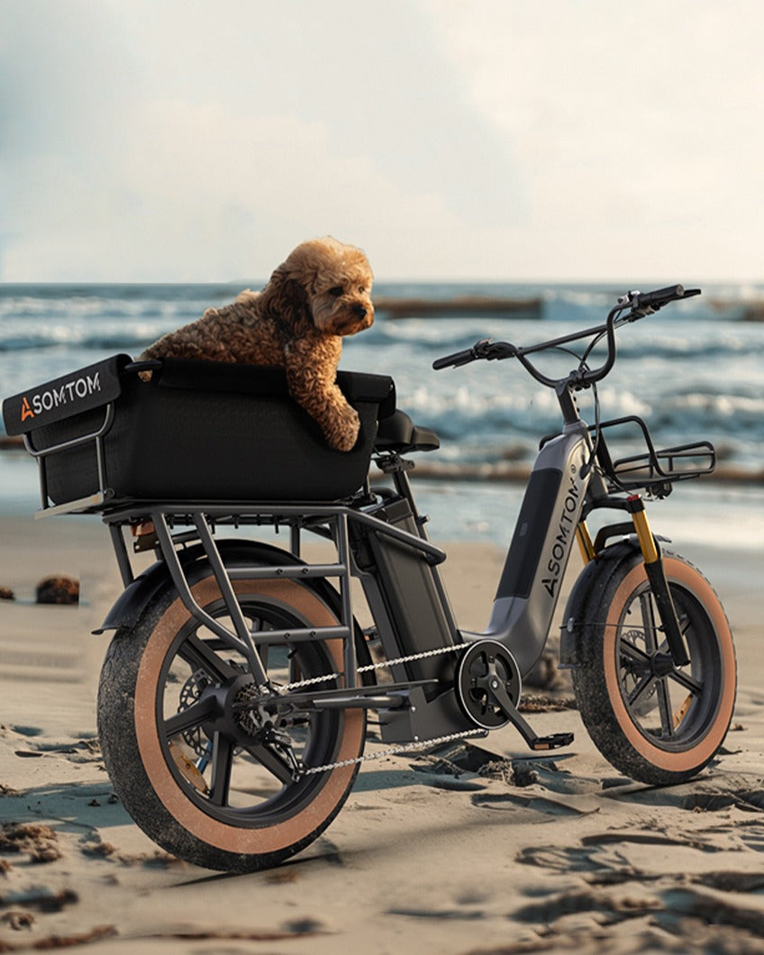 ASOMTOM MAMMOTH 20" Cargo Electric Bike 750W Motor 48V 15Ah Dual Battery