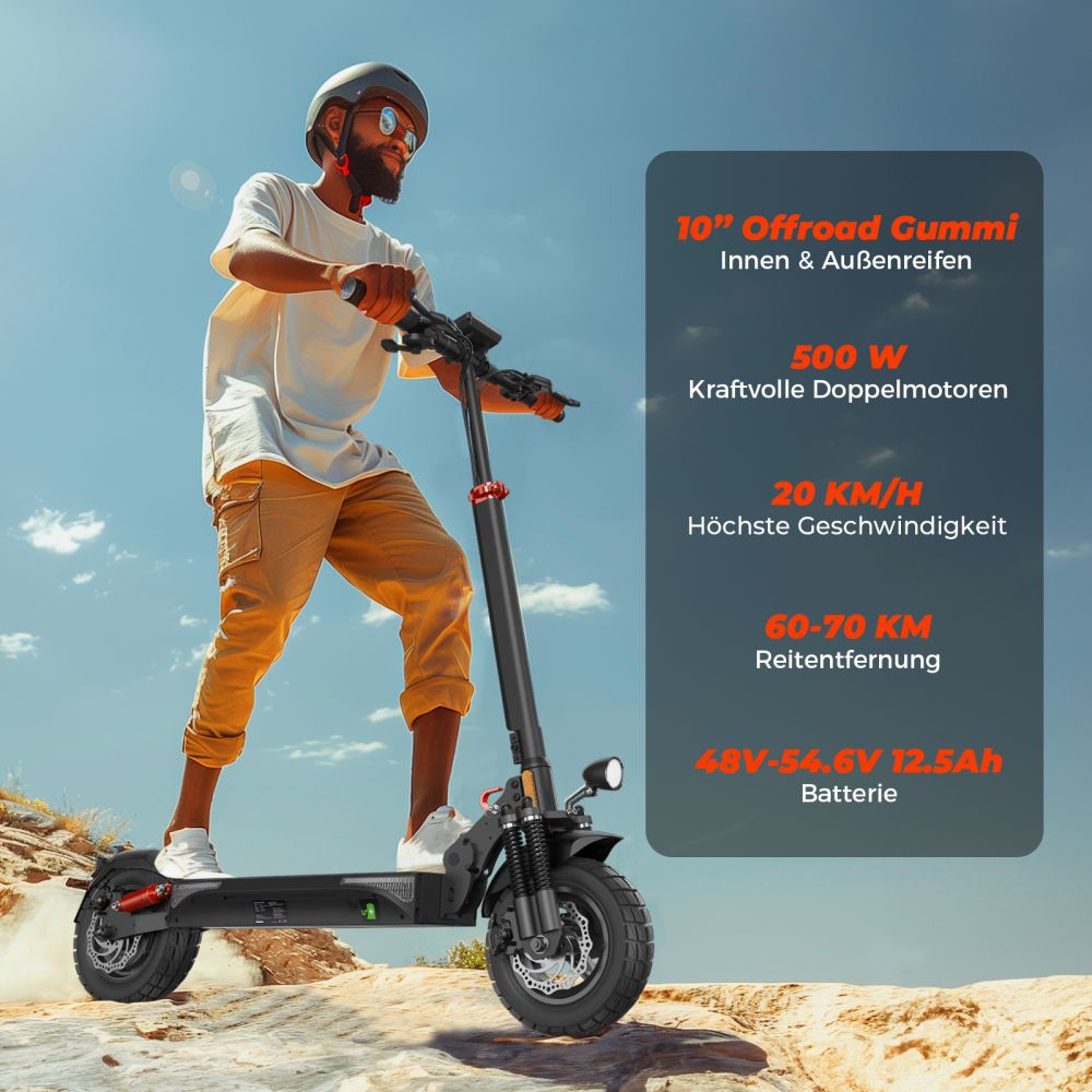 ISINWHEEL T4 10" Off-road Electric Scooter 1000W Motor 42V 12.5Ah Battery (ABE)