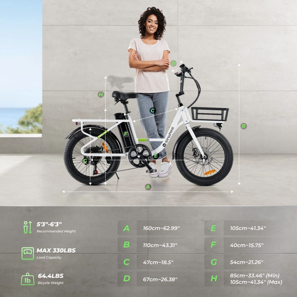 ISINWHEEL U7 20" Step-Thru Cargo Electric Bike 500W Motor 48V 10.4Ah Battery