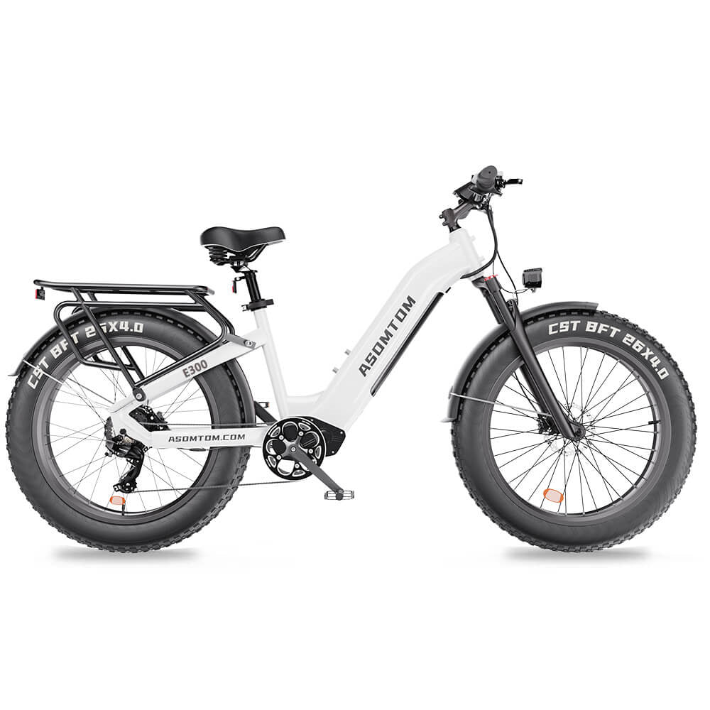 ASOMTOM E300 26" Fat Tire All-terrain Electric Bike 750W Motor 48V 15Ah Battery