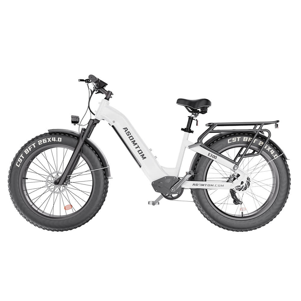 ASOMTOM E300 26" Fat Tire All-terrain Electric Bike 750W Motor 48V 15Ah Battery