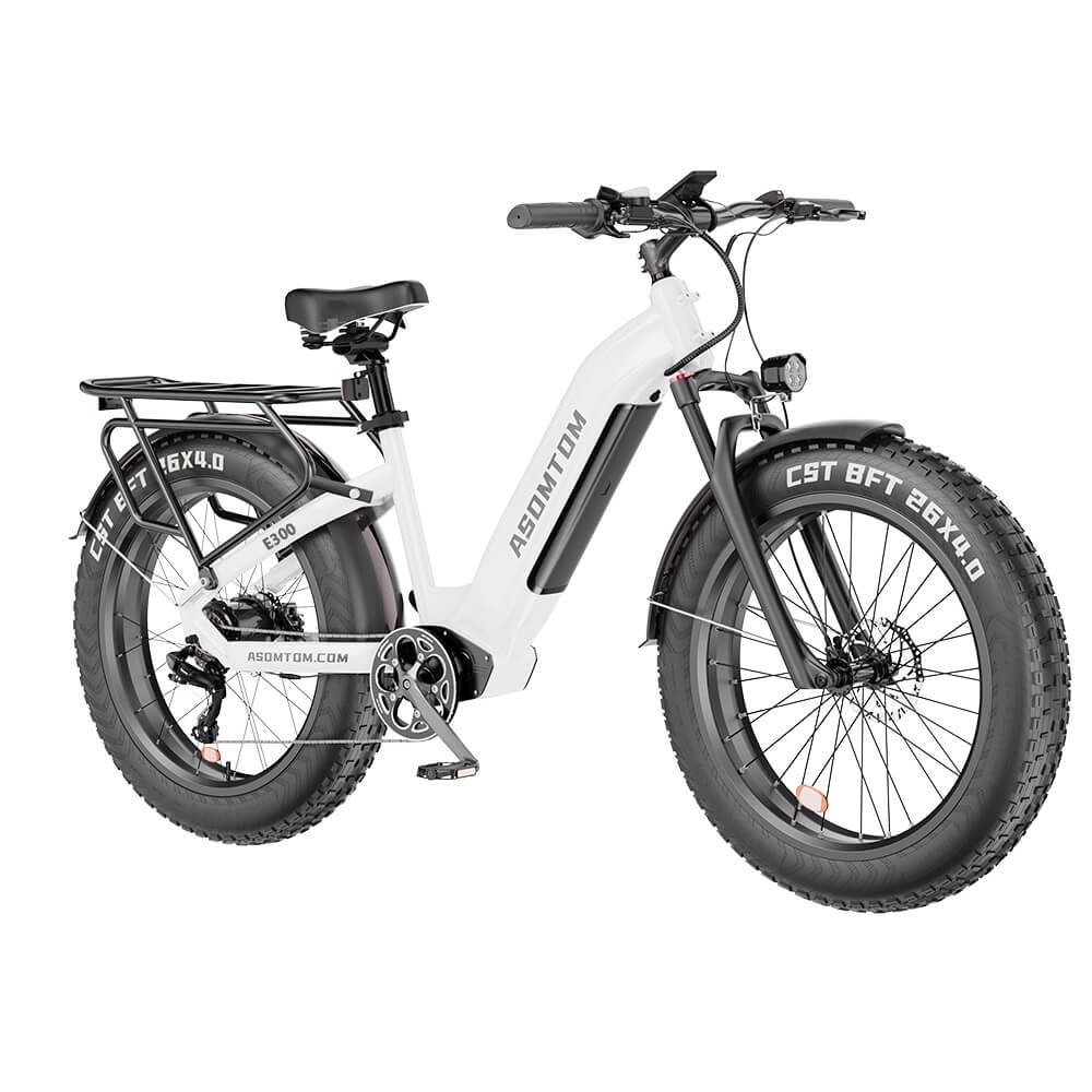 ASOMTOM E300 26" Fat Tire All-terrain Electric Bike 750W Motor 48V 15Ah Battery