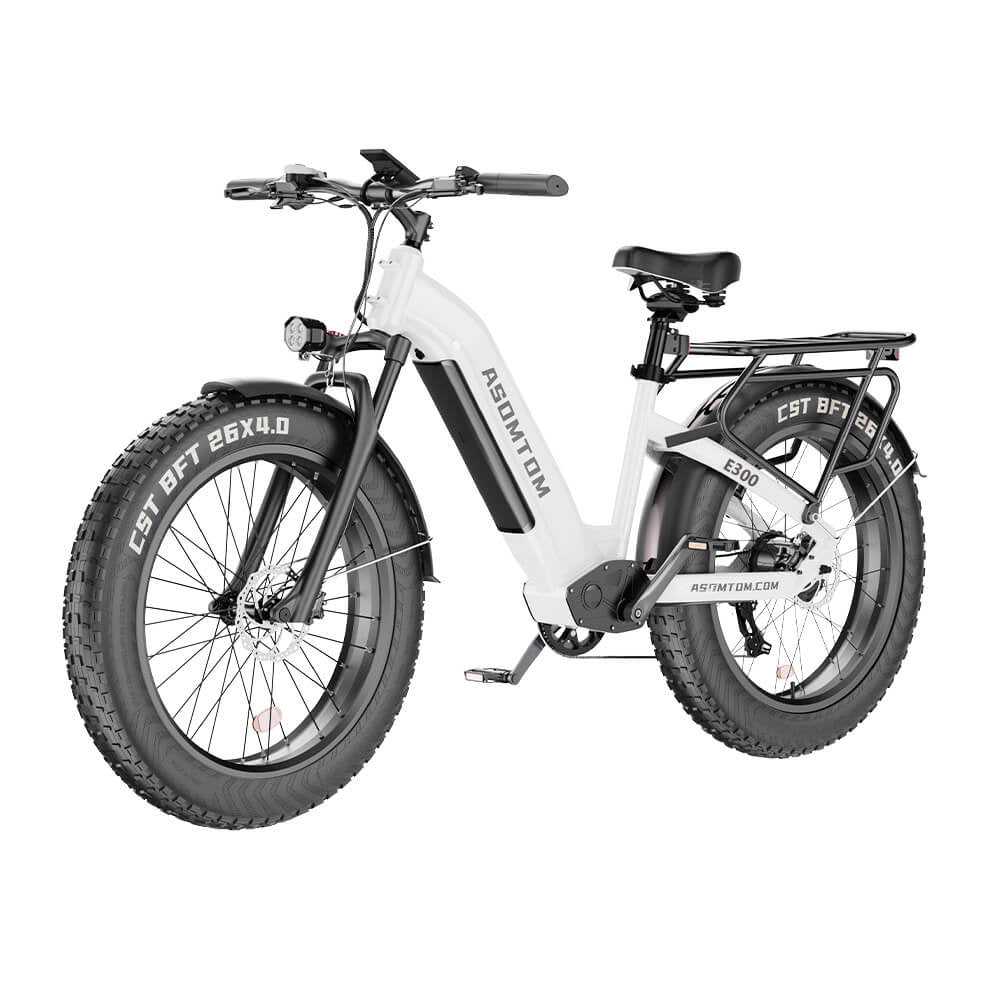 ASOMTOM E300 26" Fat Tire All-terrain Electric Bike 750W Motor 48V 15Ah Battery