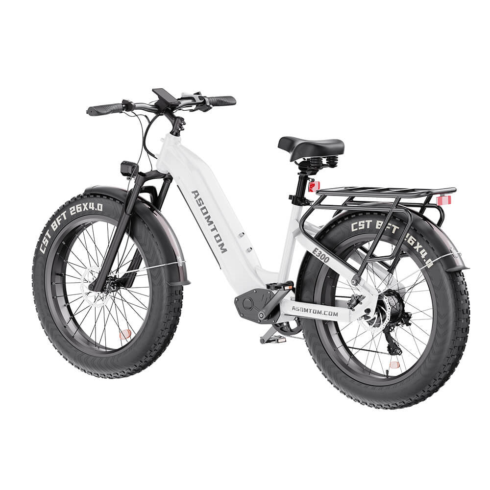 ASOMTOM E300 26" Fat Tire All-terrain Electric Bike 750W Motor 48V 15Ah Battery