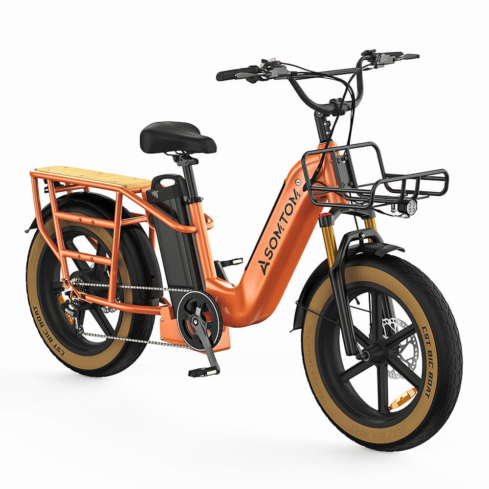 ASOMTOM MAMMOTH 20" Cargo Electric Bike 750W Motor 48V 15Ah Dual Battery