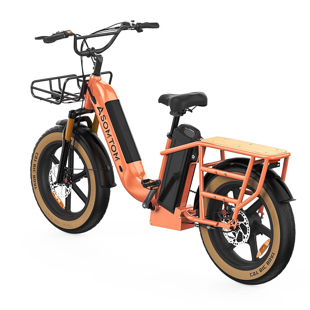 ASOMTOM MAMMOTH 20" Cargo Electric Bike 750W Motor 48V 15Ah Dual Battery