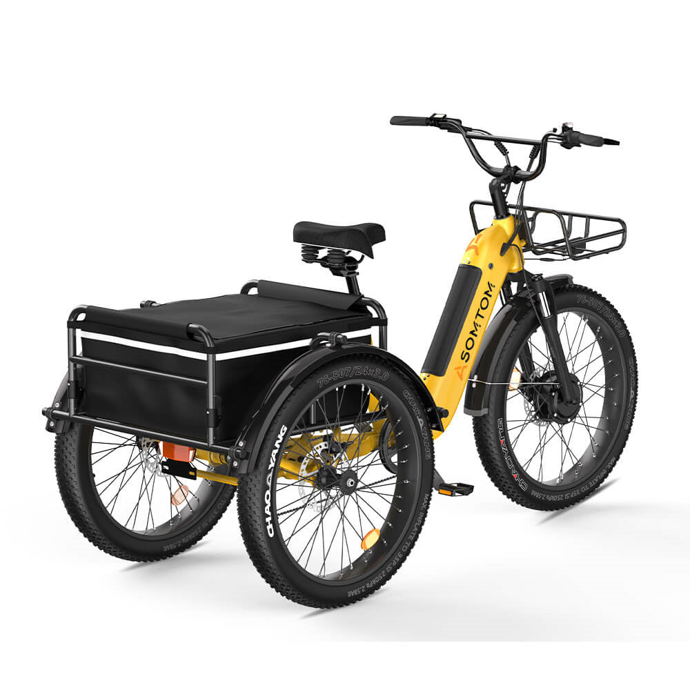 ASOMTOM WHALE 24" High-Capacity Durable Electric Trike 500W Motor 48V 15Ah Battery