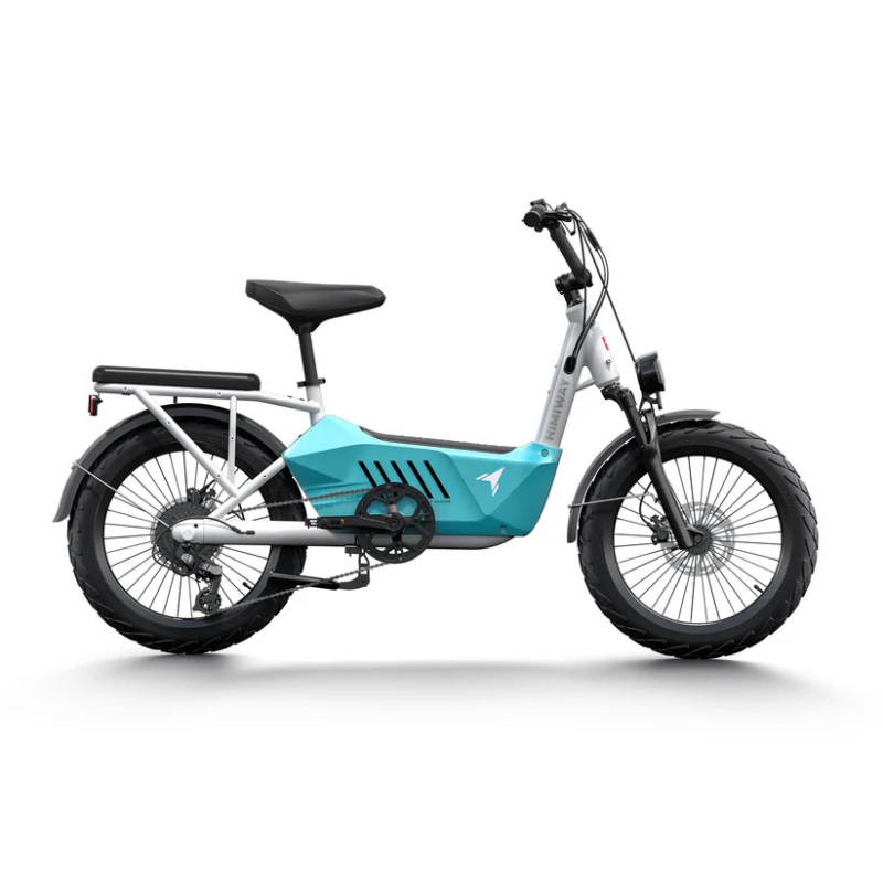 HIMIWAY C3 20" Cargo Electric Bike 750W Motor 48V 20Ah Battery