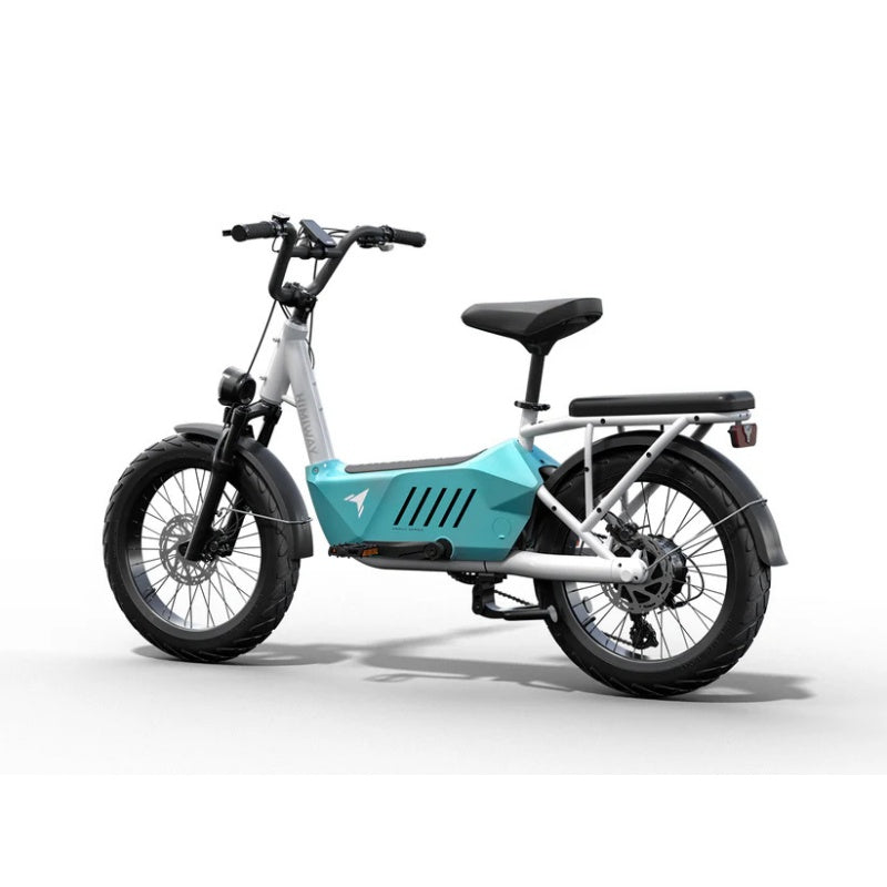 HIMIWAY C3 20" Cargo Electric Bike 750W Motor 48V 20Ah Battery