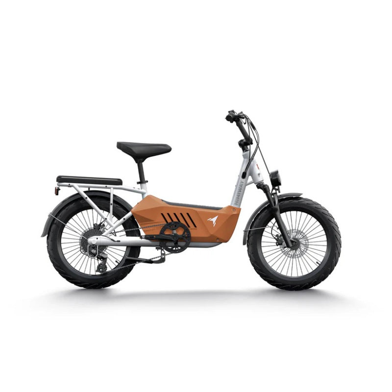 HIMIWAY C3 20" Cargo Electric Bike 750W Motor 48V 20Ah Battery