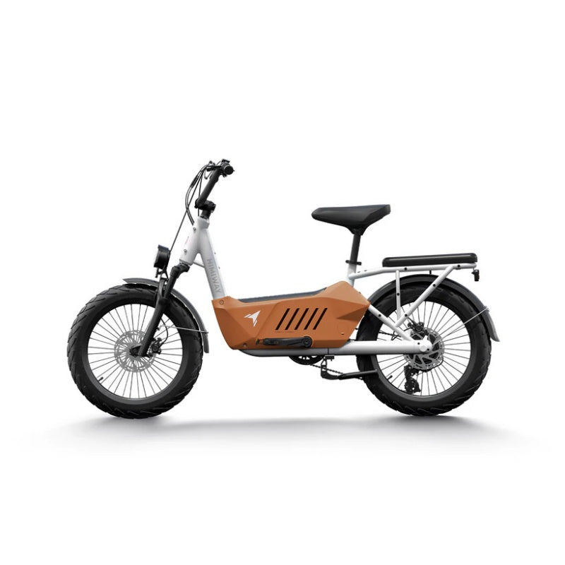 HIMIWAY C3 20" Cargo Electric Bike 750W Motor 48V 20Ah Battery