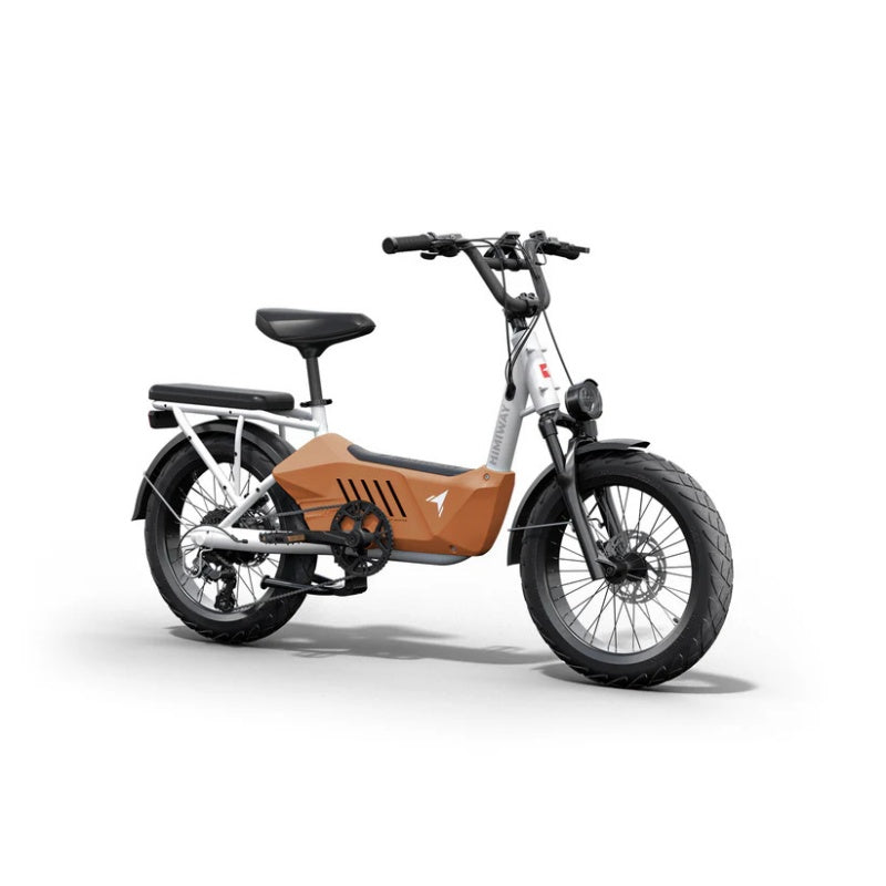 HIMIWAY C3 20" Cargo Electric Bike 750W Motor 48V 20Ah Battery