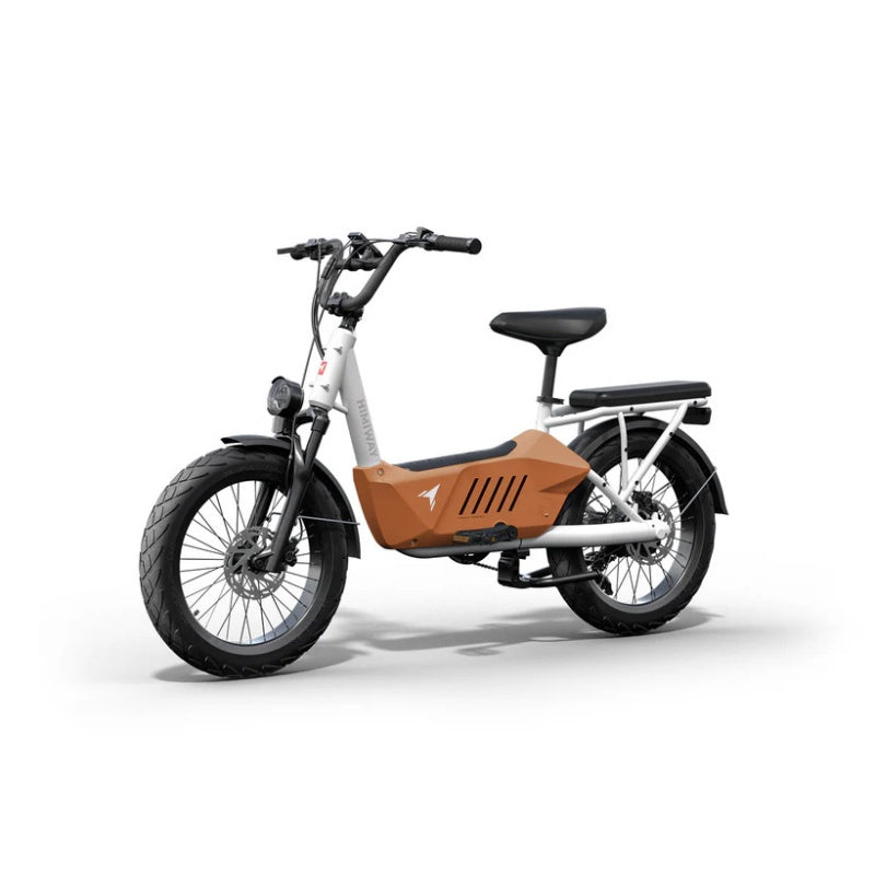 HIMIWAY C3 20" Cargo Electric Bike 750W Motor 48V 20Ah Battery