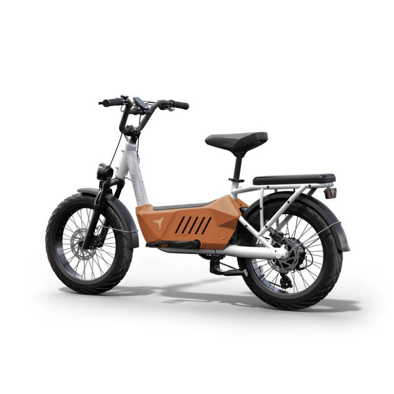 HIMIWAY C3 20" Cargo Electric Bike 750W Motor 48V 20Ah Battery