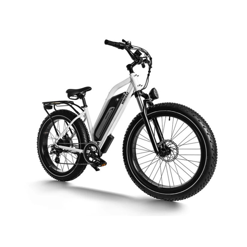 HIMIWAY D3 ST (Cruiser ST) 26" All Terrain Step Thru Electric Bike 750W Motor 48V 15Ah Battery