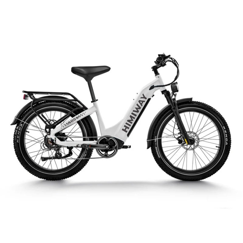 HIMIWAY D5 ST (Zebra ST) 26" Fat Tire All-terrain Electric Bike 750W Motor 48V 20Ah Battery