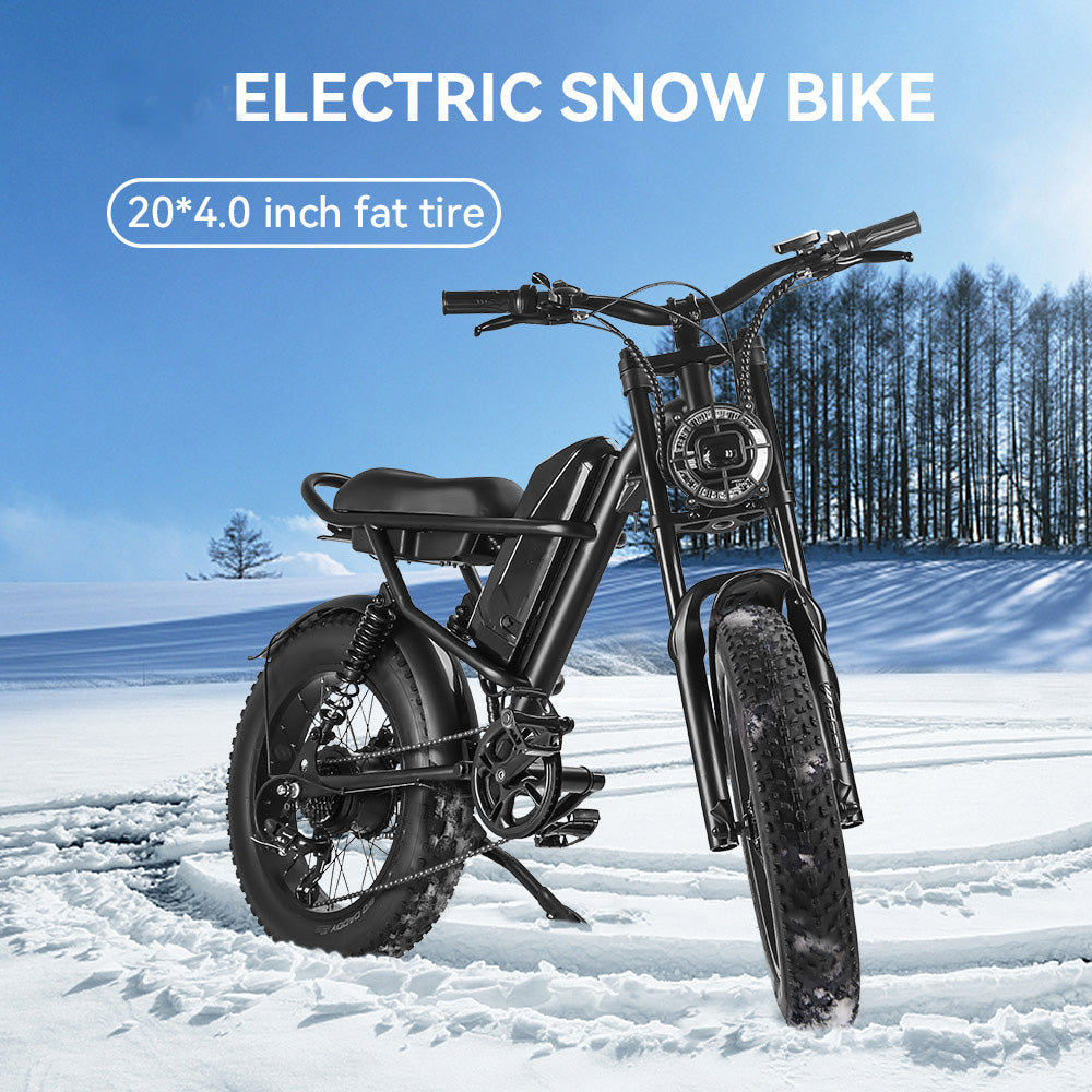 IDPOO IM-J1 20" Fat Tires Electric Bike 500W Brushless Motor 48V 15Ah Battery