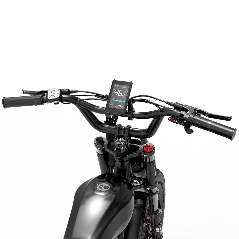 LANKELEISI X-Black Knight 20" Fat Tire All-Terrain Electric Bike 2000W Dual Motor 48V 45Ah Battery