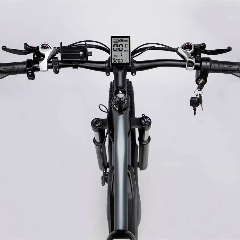 RIDSTAR E26 26'' Fat Tire Mountain E-Bike Intelligent Instrument