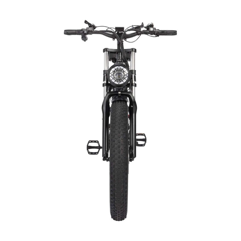 Ridstar H26 Pro 26'' Fat Tire Electric Folding Bike