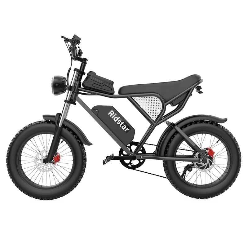 RIDSTAR Q20 e bike