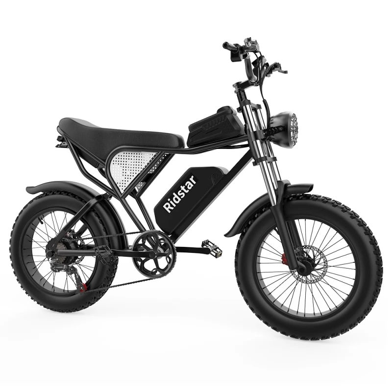 RIDSTAR Q20 e bike