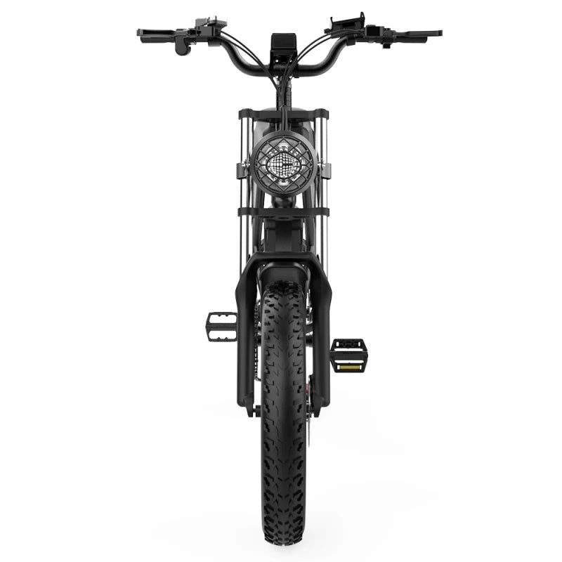 RIDSTAR-Q20-Fat-Tires-Electric-dirt-Bike-1000W-Motor-48V-20Ah-Battery