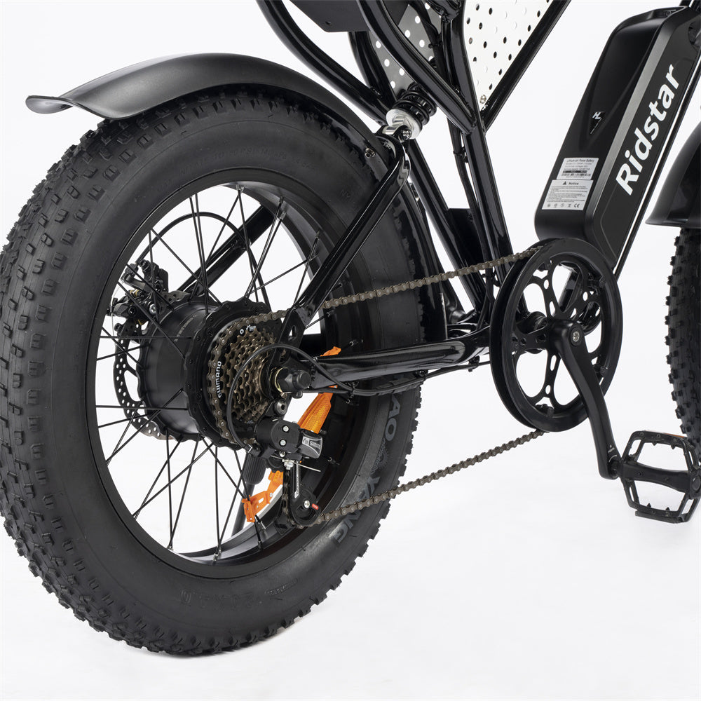 RIDSTAR-Q20-lite-Fat-Tires-Electric-Bike-2000W-Motor-52V-20Ah-Dual-Battery