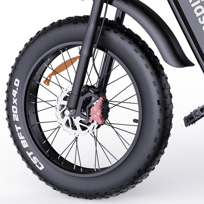 RIDSTAR-Q20-Pro-Fat-Tires-Electric-Bike-2000W-Motor-52V-20Ah-Dual-Battery