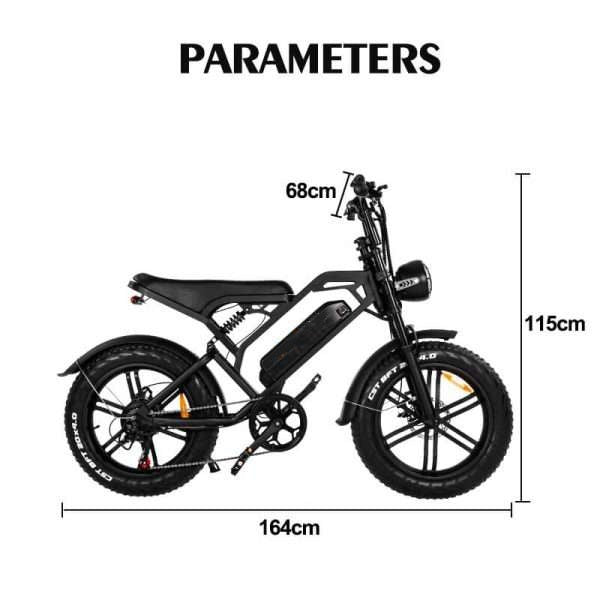 QMWHEEL V20 20" Fat Tire Electric Dirt Bike 750W Motor 48V 15.6Ah Battery